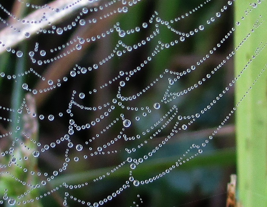 perlengewobenes Herbstkleid