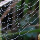 perlengewobenes Herbstkleid