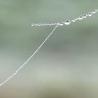 Perlenkette aus Wassertropfen / A pearl necklace made of water droplets