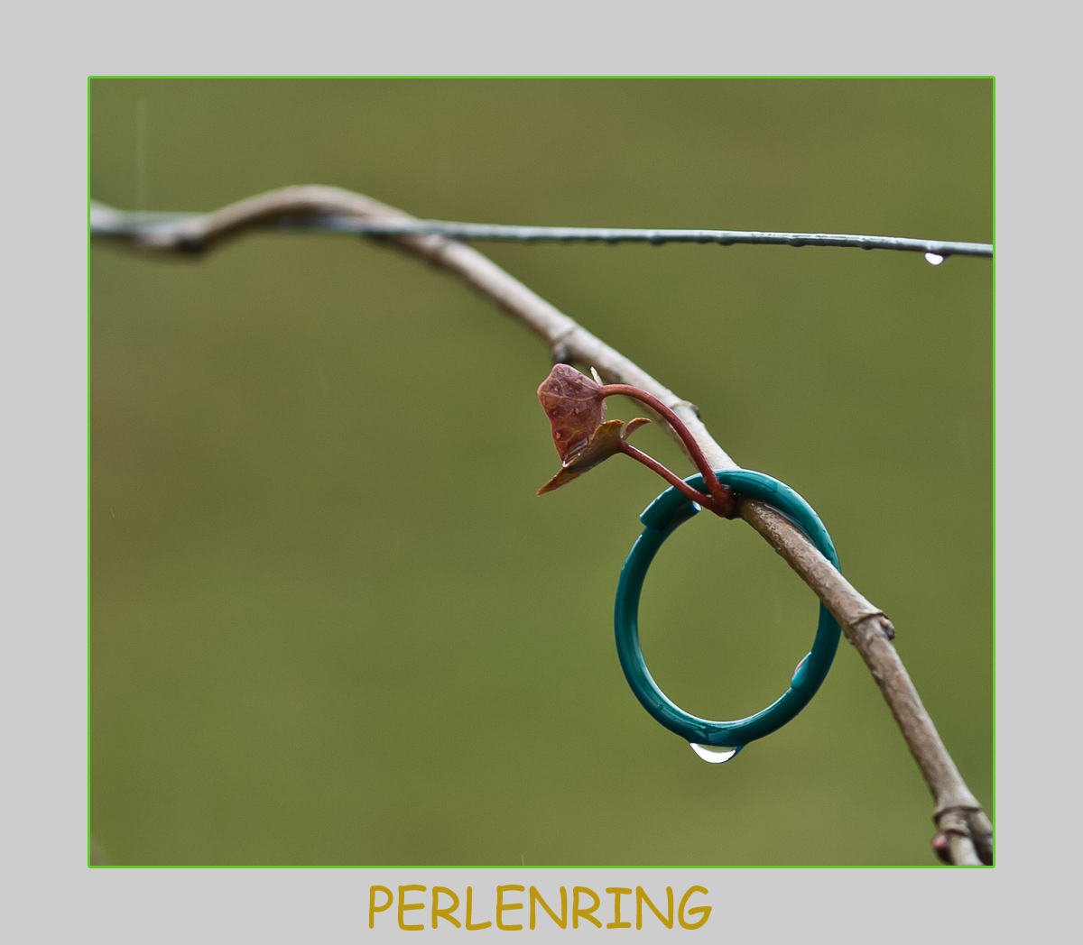 Perlenring