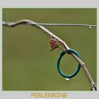 Perlenring