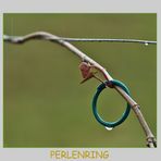 Perlenring