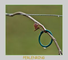 Perlenring