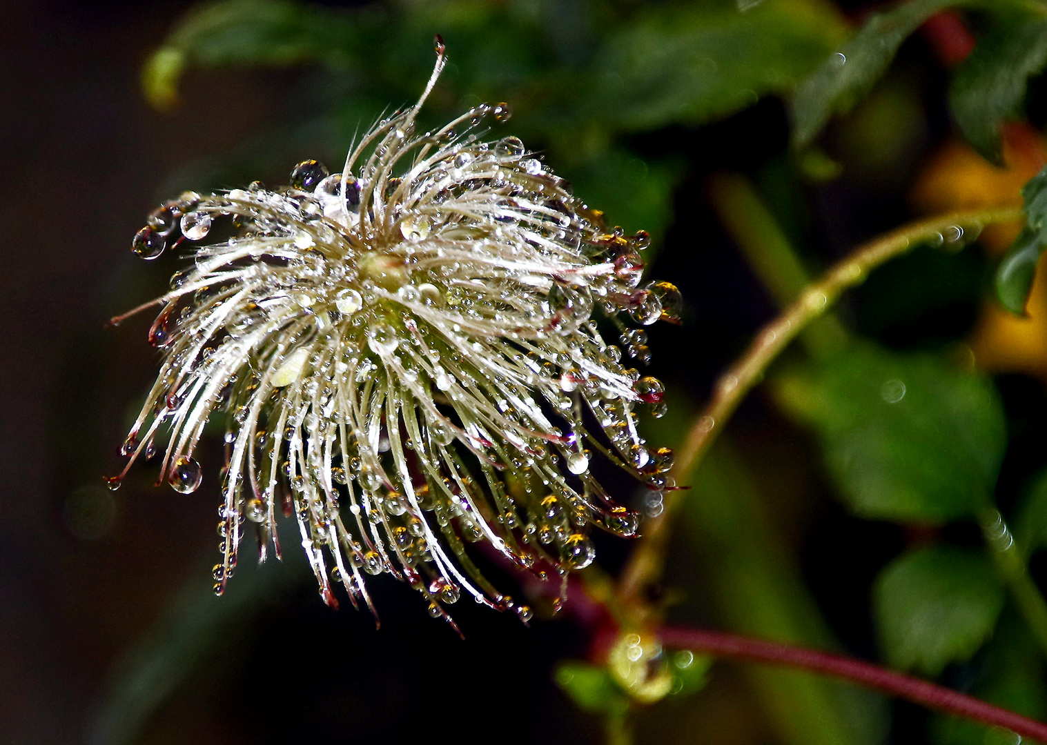 Perlenschmuck