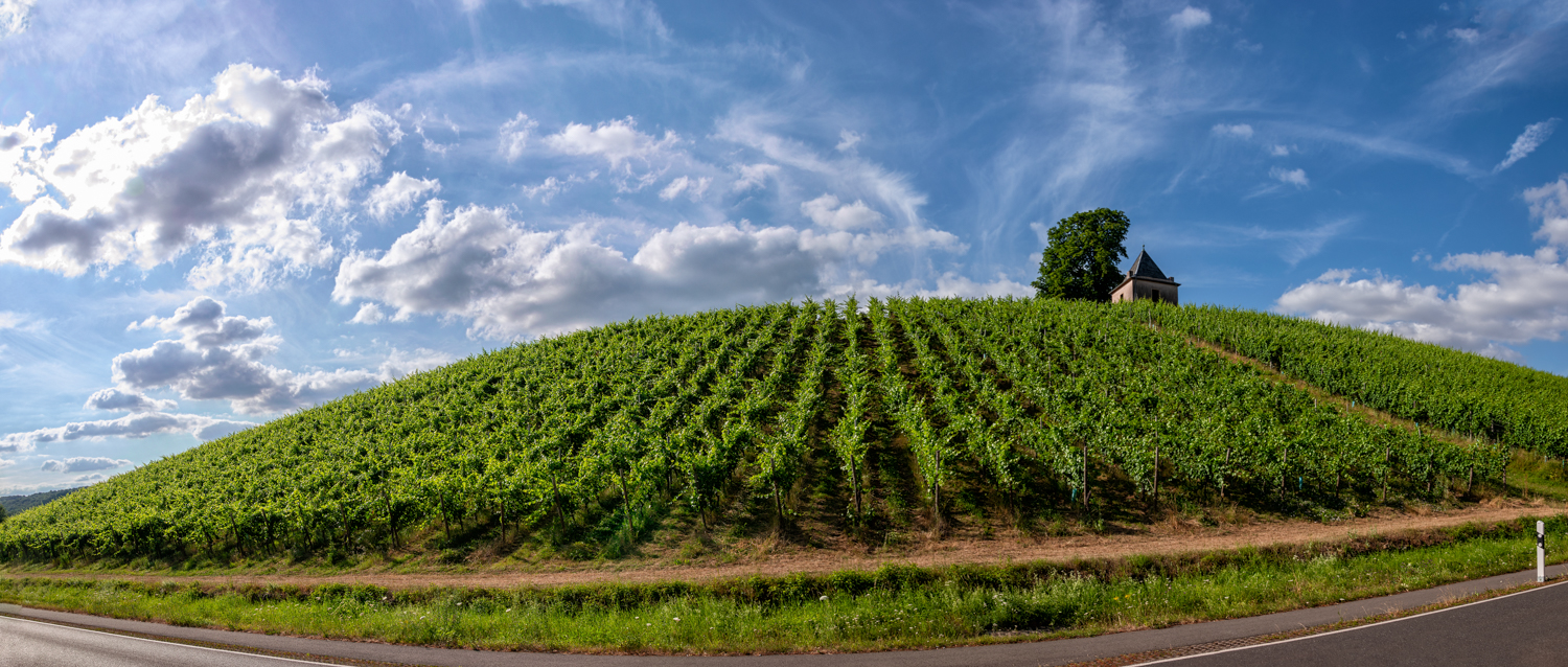 Perler St. Quirinus – Weinberg am Dreiländereck