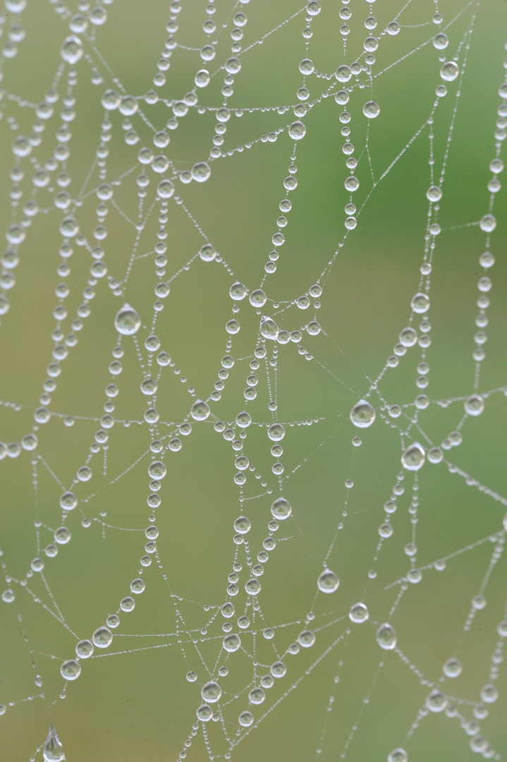 Perles de cristal