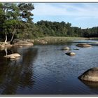 Perles de granite sur le lac du merle