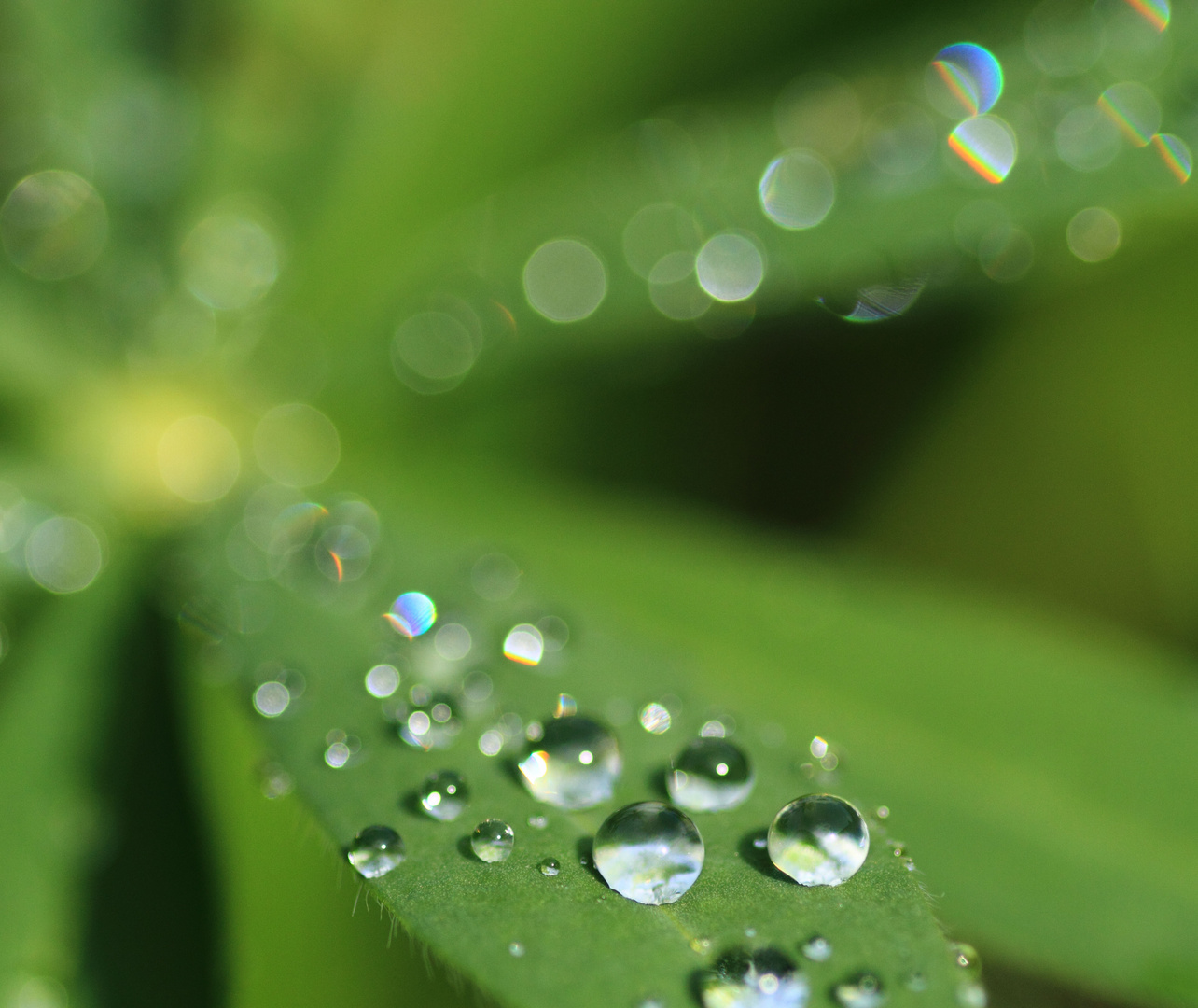 Perles de transparence