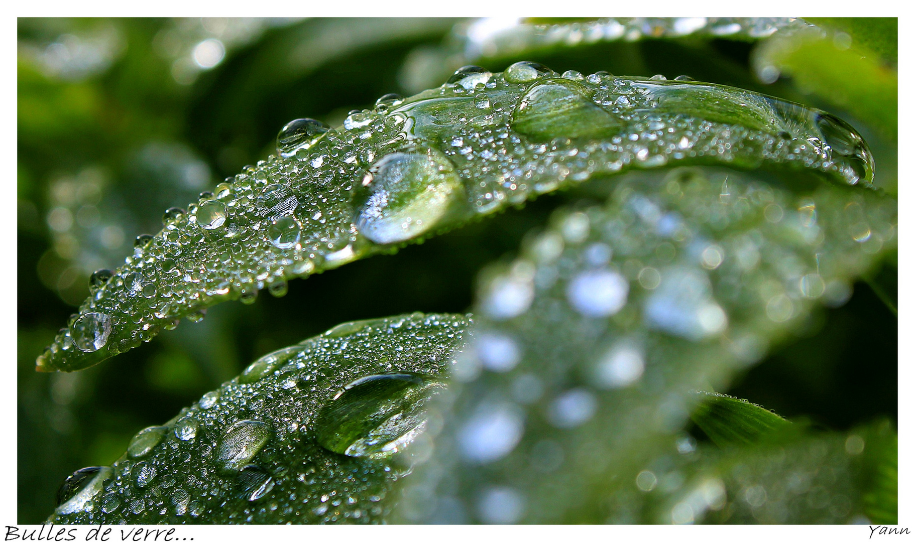 Perles de verre...