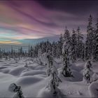 Perlmutt Wolken über Lapland
