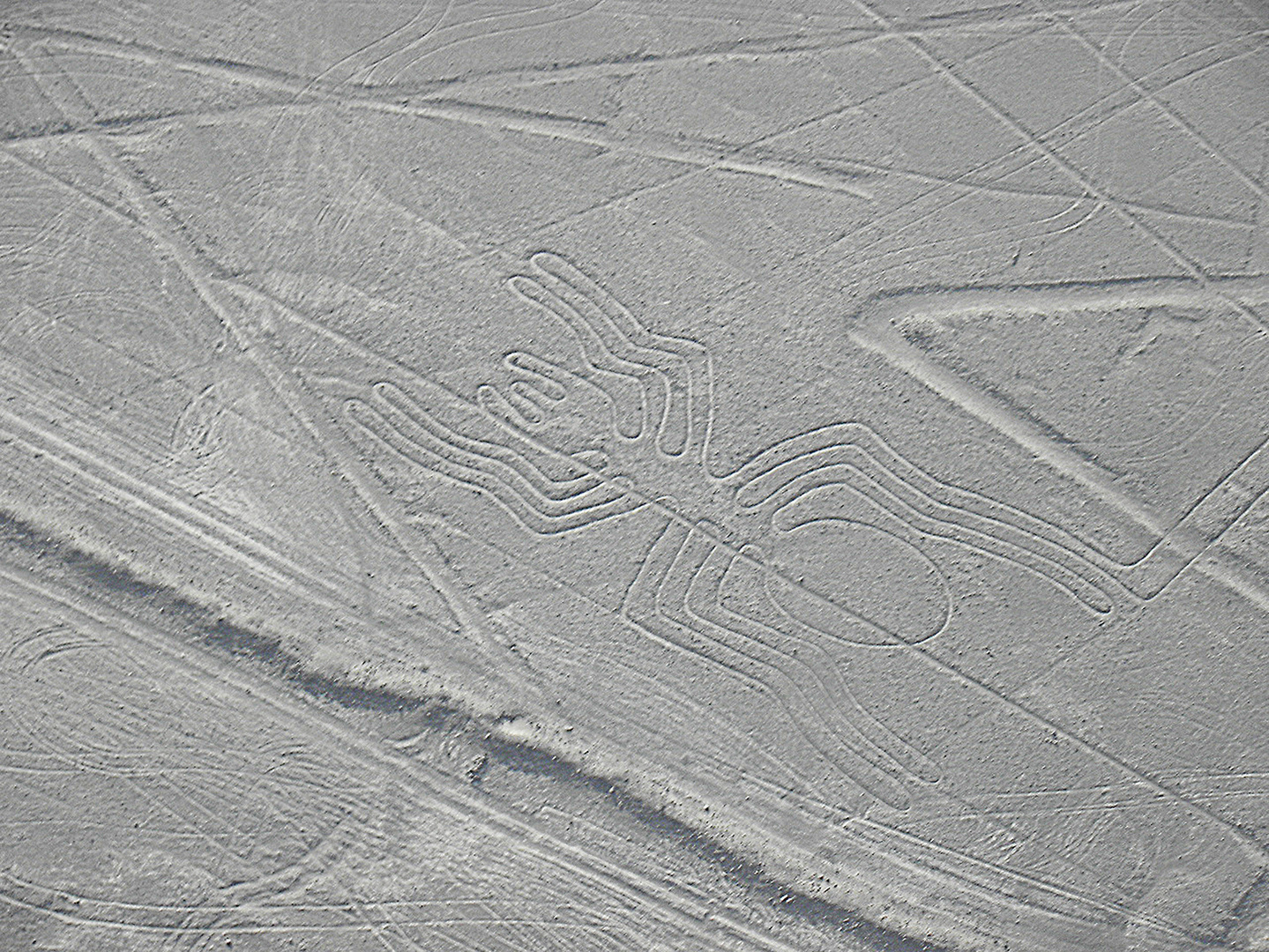 Pérou, lignes de Nazca l'araignée