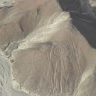 Perou lignes de Nazca: le cosmaunote