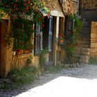 Pérouges (10)