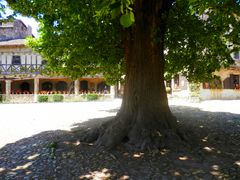 Pérouges (12)