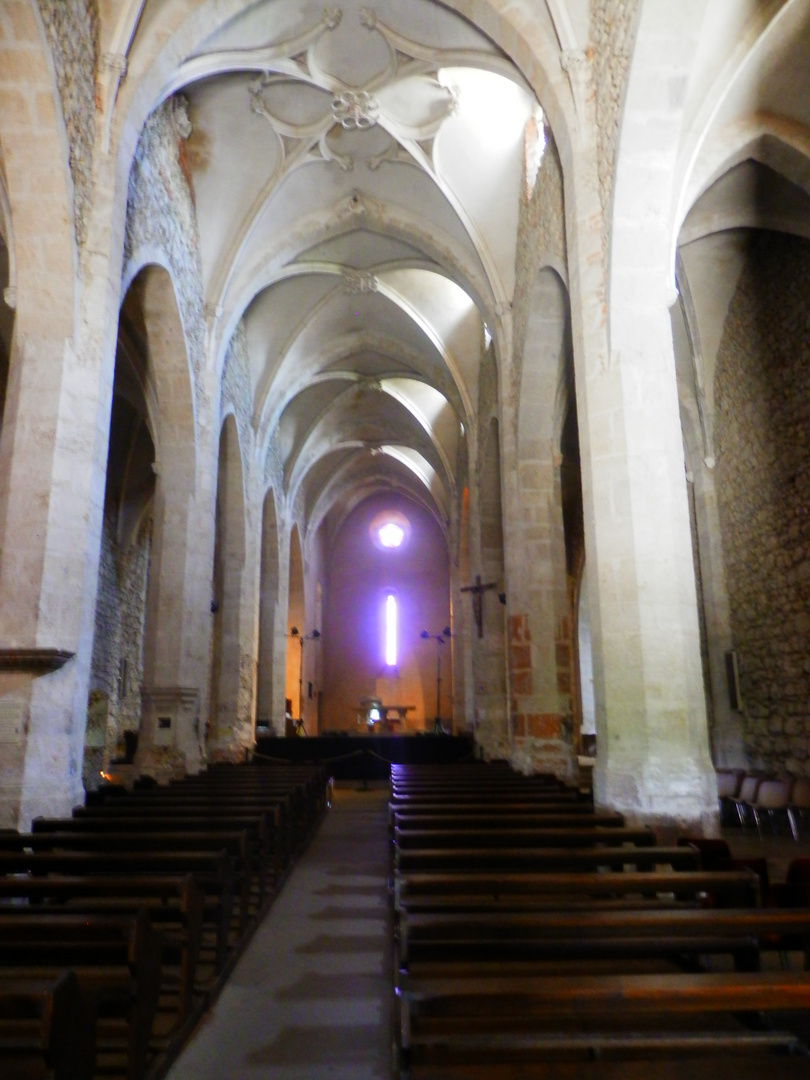 Pérouges (3)