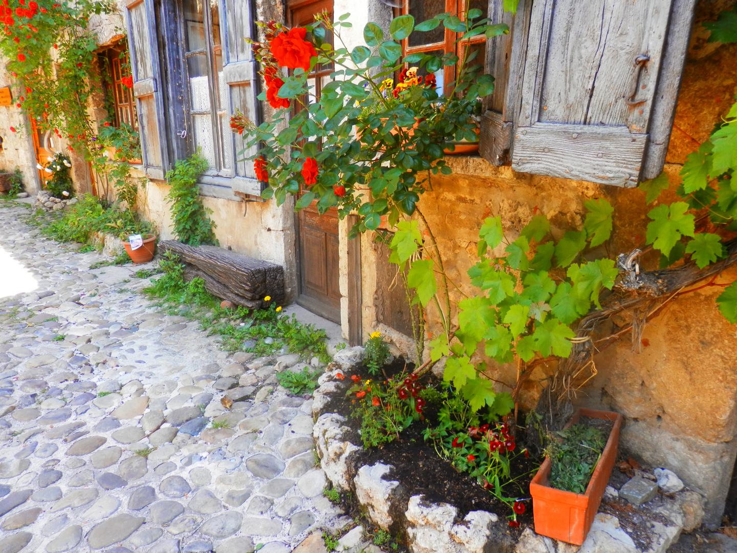 Pérouges (9)