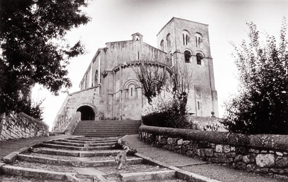 Perrillo en la escalinata. Sepulveda