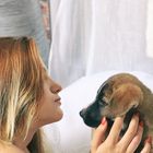 Perrito y Raluca