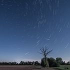 Perseiden und Startrails