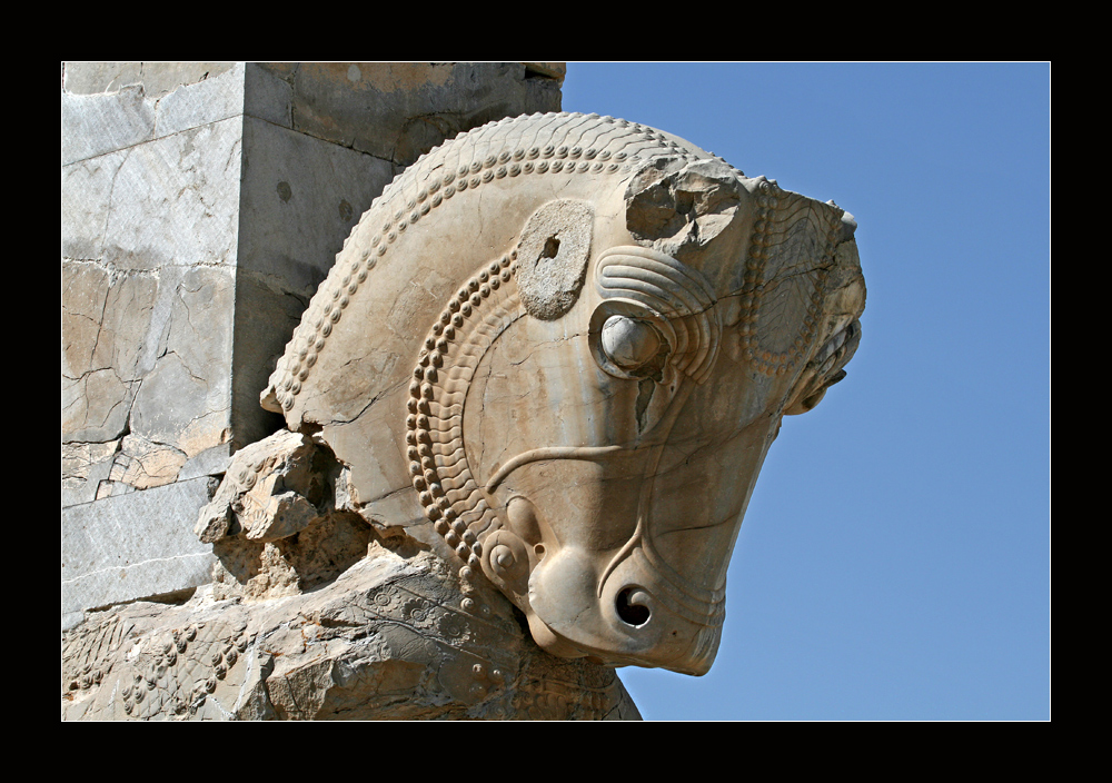 Persepolis, Detail der Pferdeskulptur...