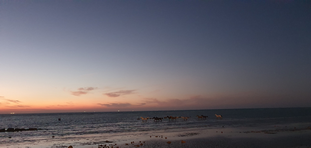  Persian Gulf,  Bandar Bushehr