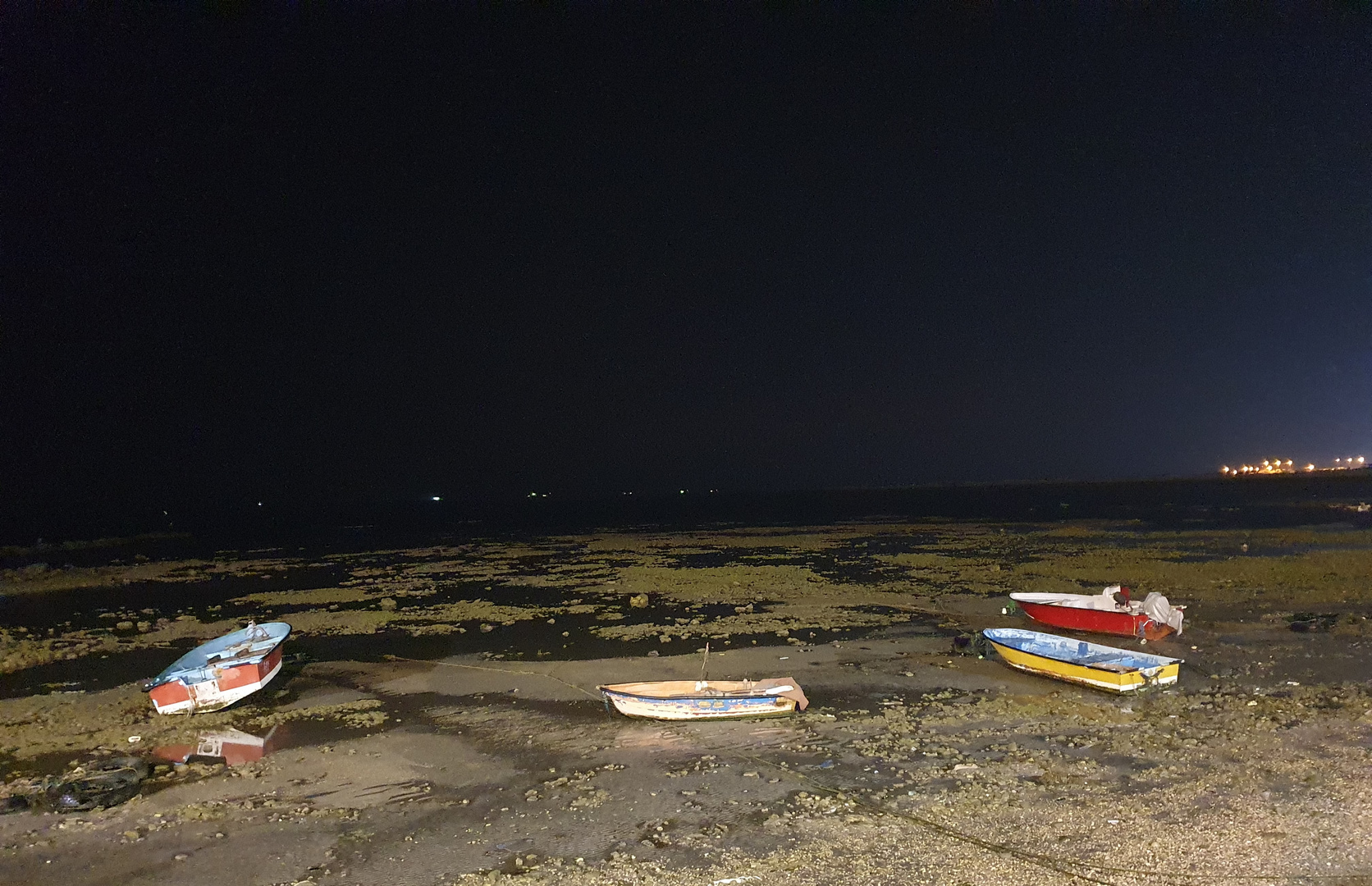 Persian Gulf , Bandar Bushehr