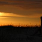 Person am Strand im Sonnenuntergang