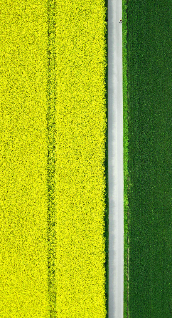 Person between the fields