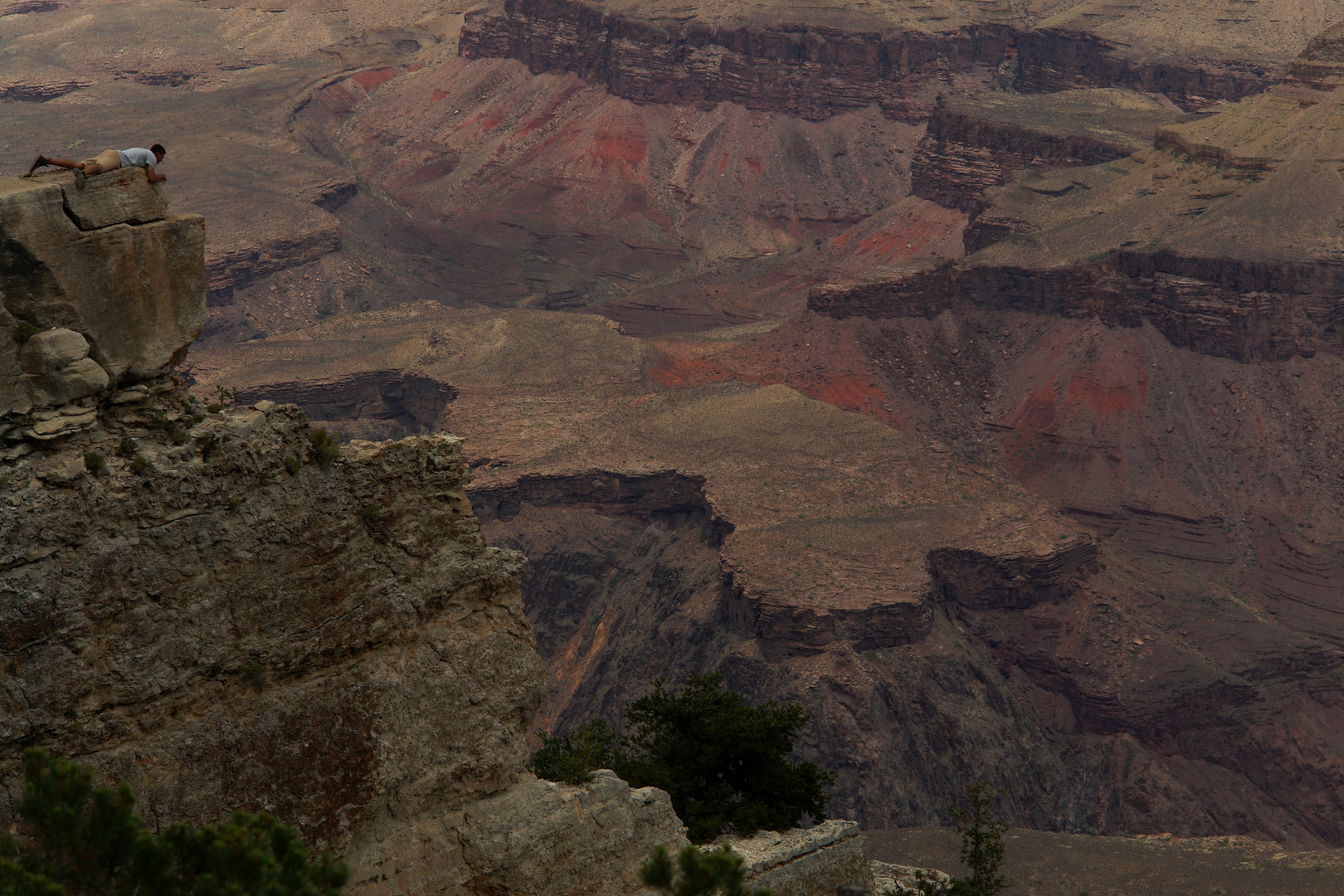 Personality Canyon View