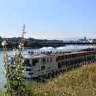 Personenhafen St.Johann in Basel