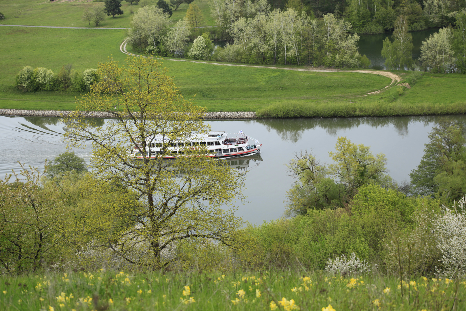 Personenschifffahrt auf dem Main im Frühling