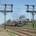 Personenzug mit Dampflok WL  erreicht den Bahnhof Jalandhar   (Indien im April 1995