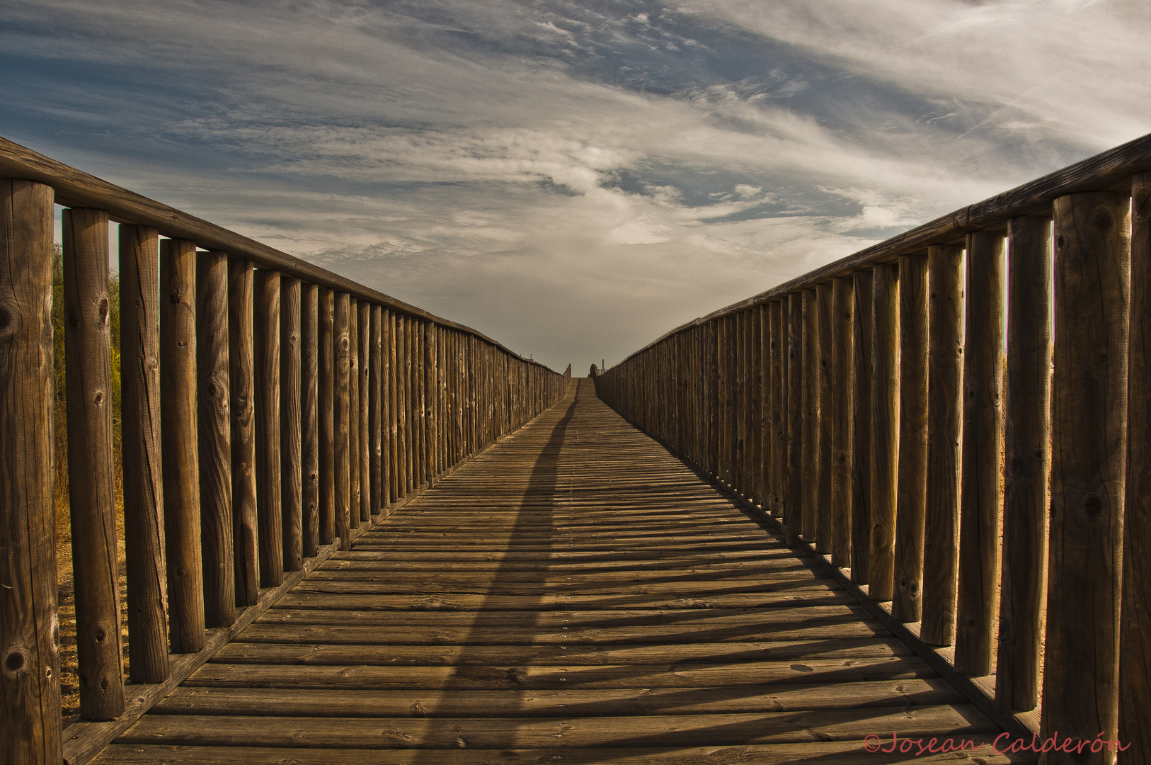 Perspectiva central