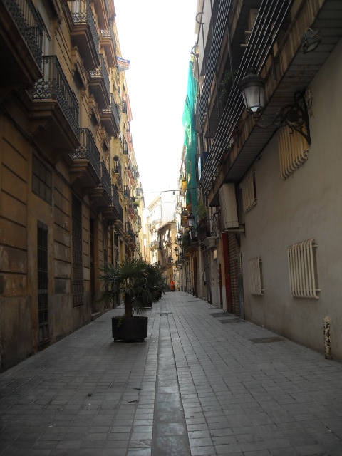 perspectiva valenciana