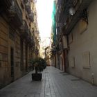 perspectiva valenciana