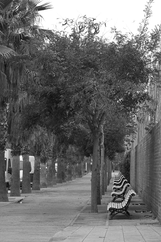 Perspectivas de Barceloneta