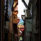 perspective from Bergen