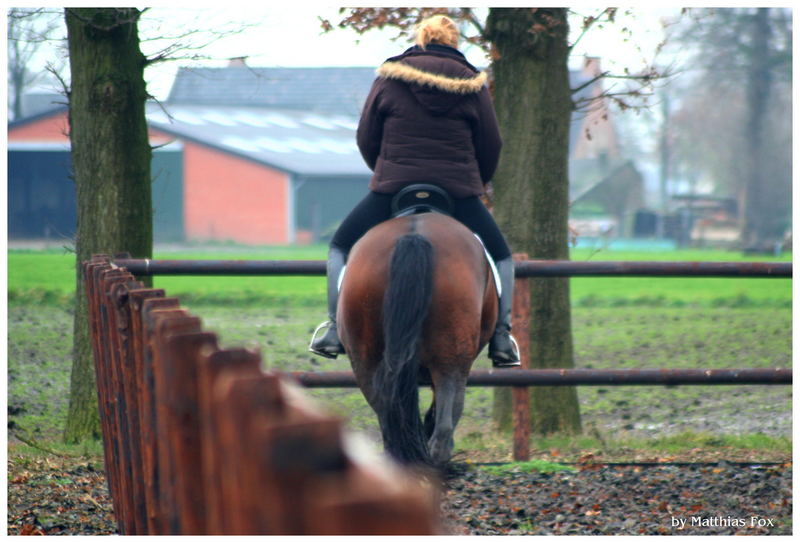 perspective of riding