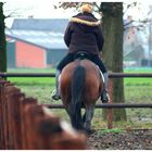 perspective of riding