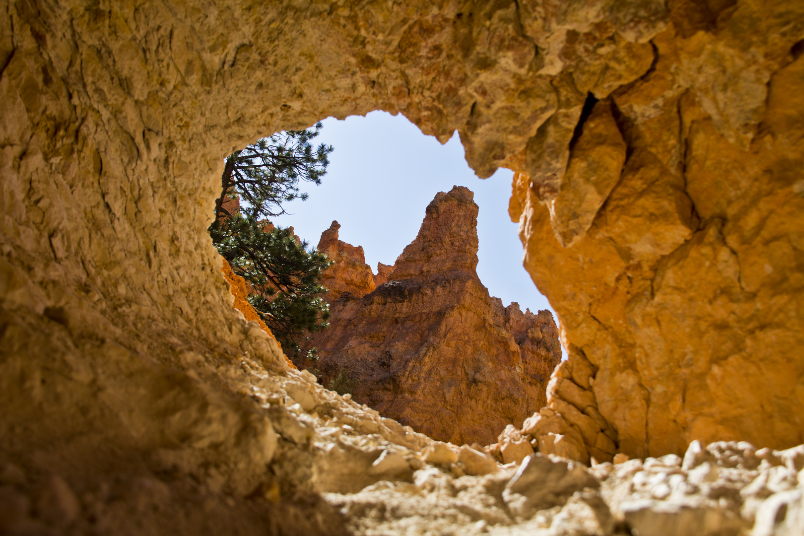 Perspectives dans le parc des Arches