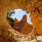 Perspectives dans le parc des Arches