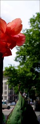 Perspektive II für Einsteiger