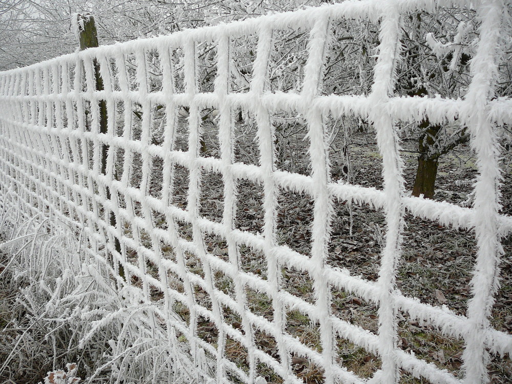 Perspektive im Winter