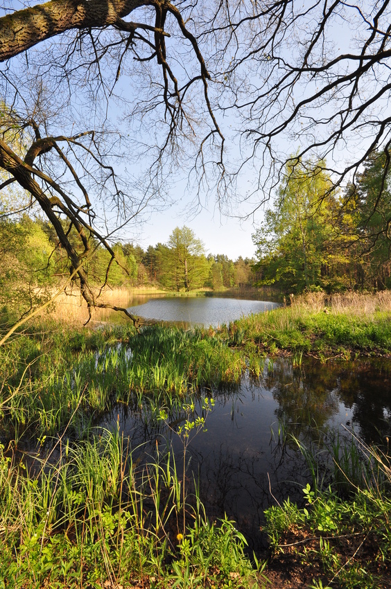 Perspektiven am See........