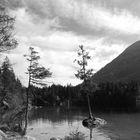 Perspektivenwechsel am Hintersee