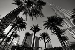 perspektivisches arrangement neben burj khalifa