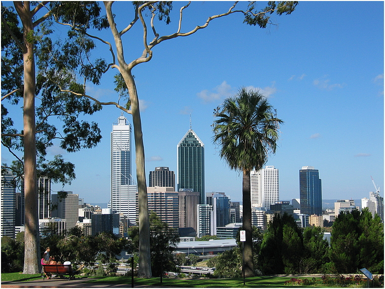 Perth Skyline vom Kings Park