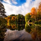 Perthshire Autumn