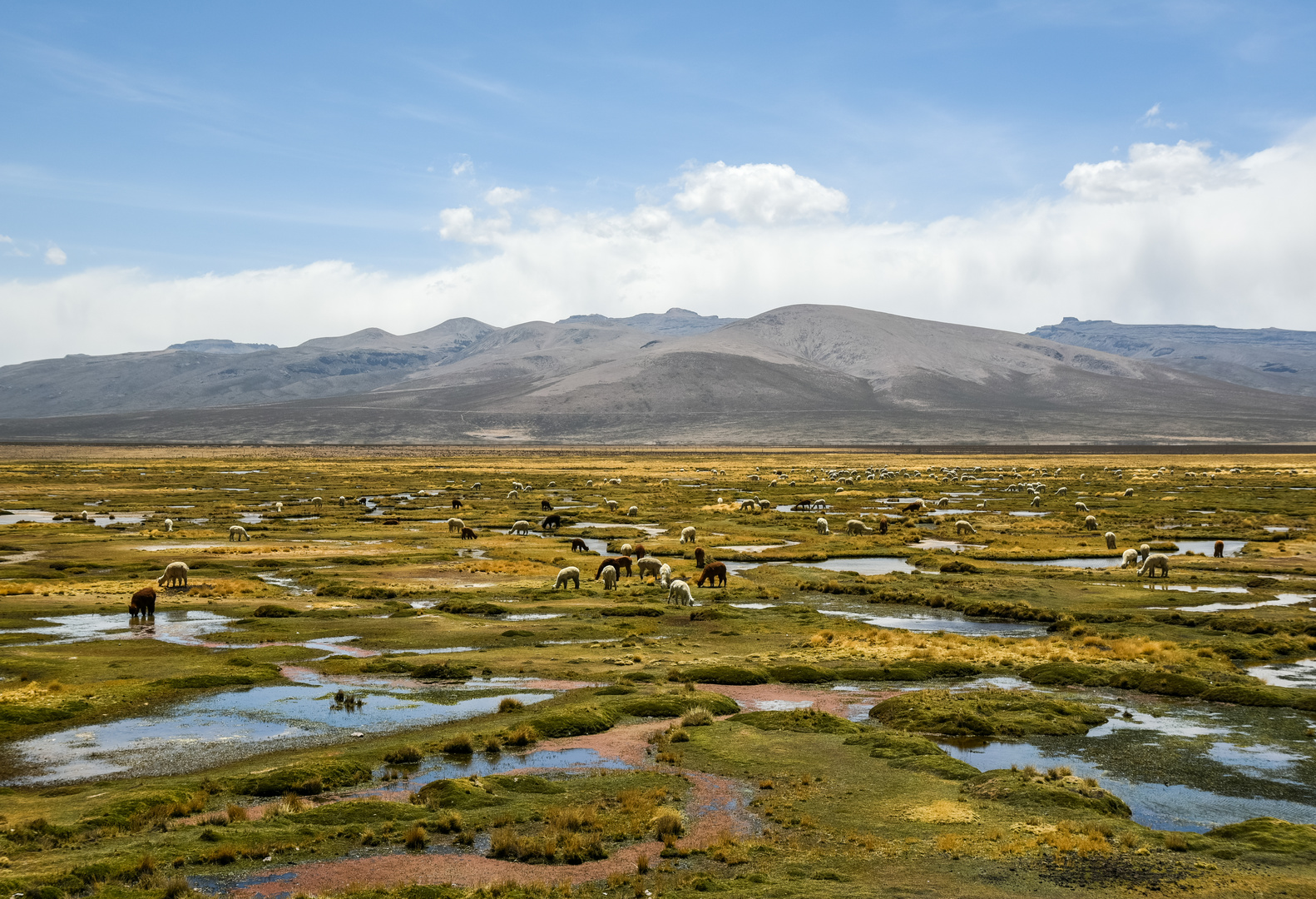 Peru