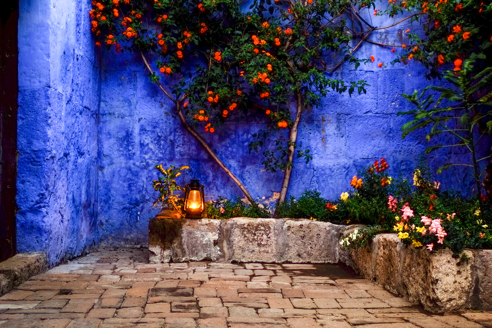 Peru | A garden in Saint Catherine's Monastery, Arequipa, Peru